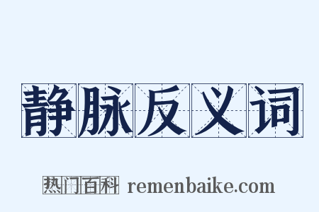 静脉反义词是什么意思的图片